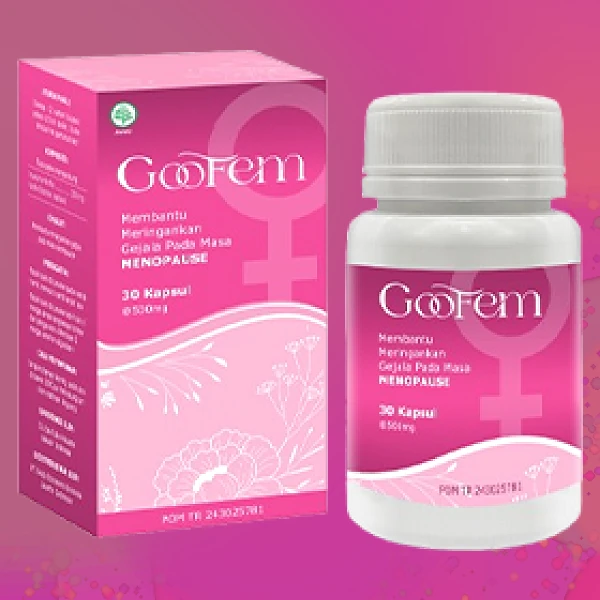 GOOFEM